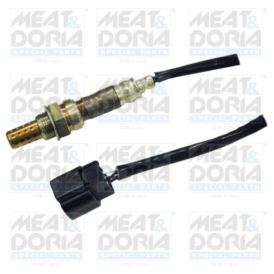 Oxygen Sensor